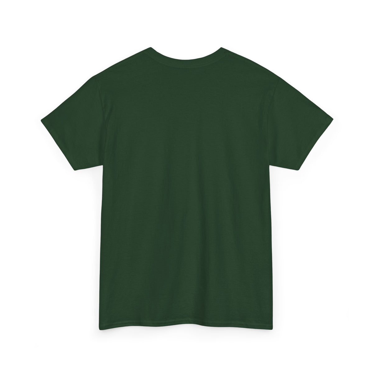 Lake Ontario Tee — "Always Lake Ontario" Vintage Flag Graphic
