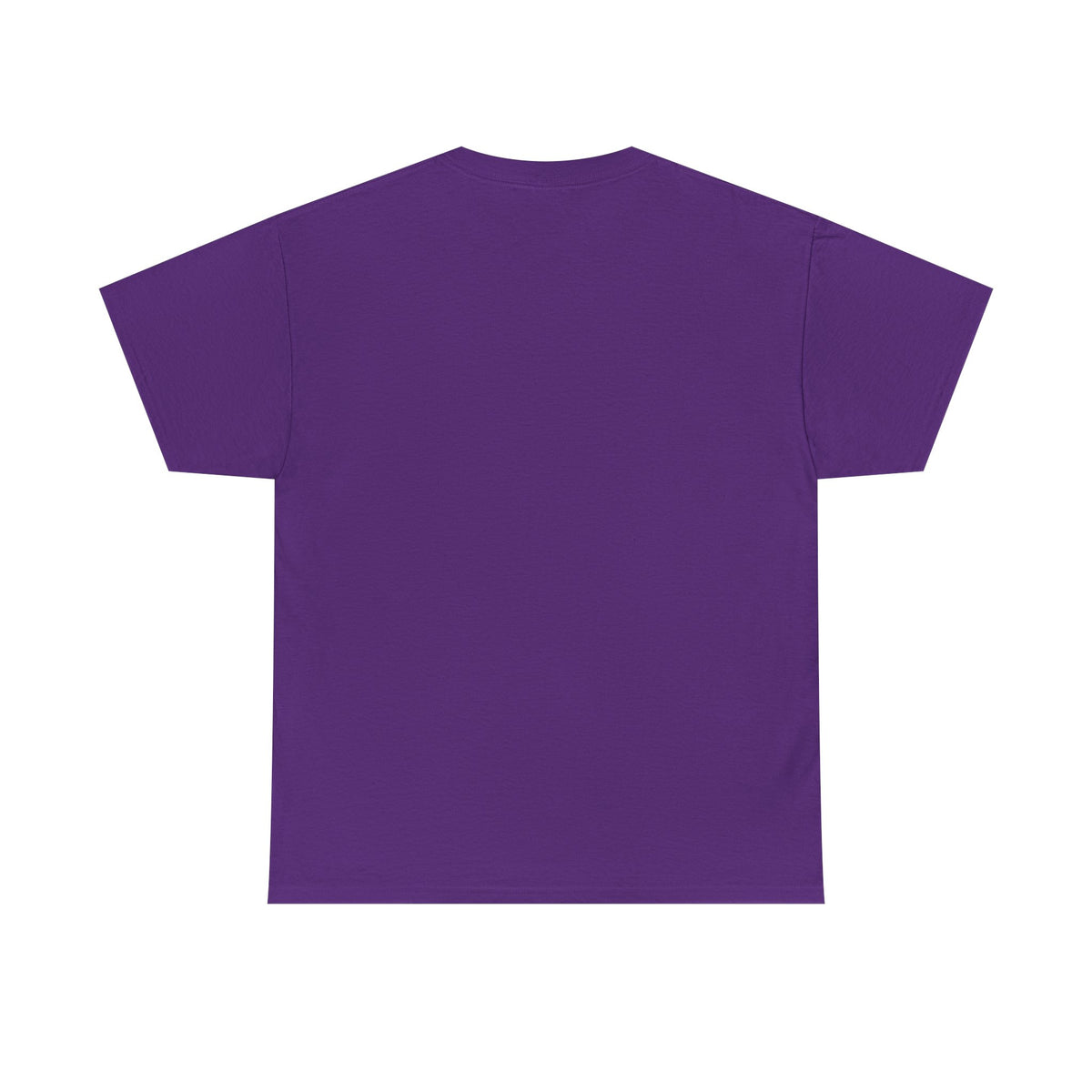 Lake Ontario Tee — "Always Lake Ontario" Vintage Flag Graphic