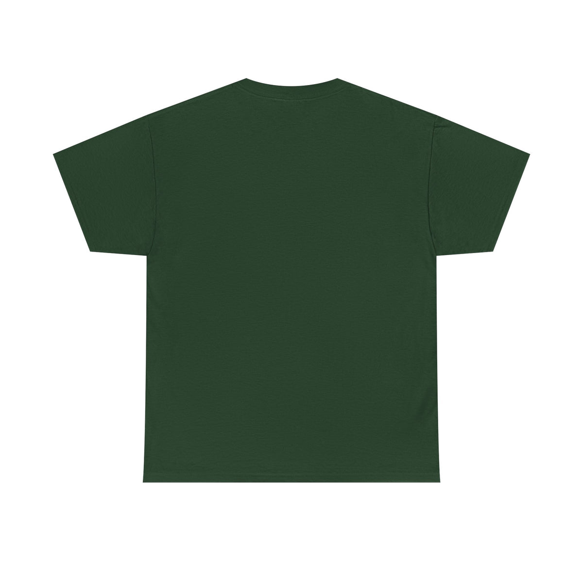 Lake Ontario Tee — "Always Lake Ontario" Vintage Flag Graphic