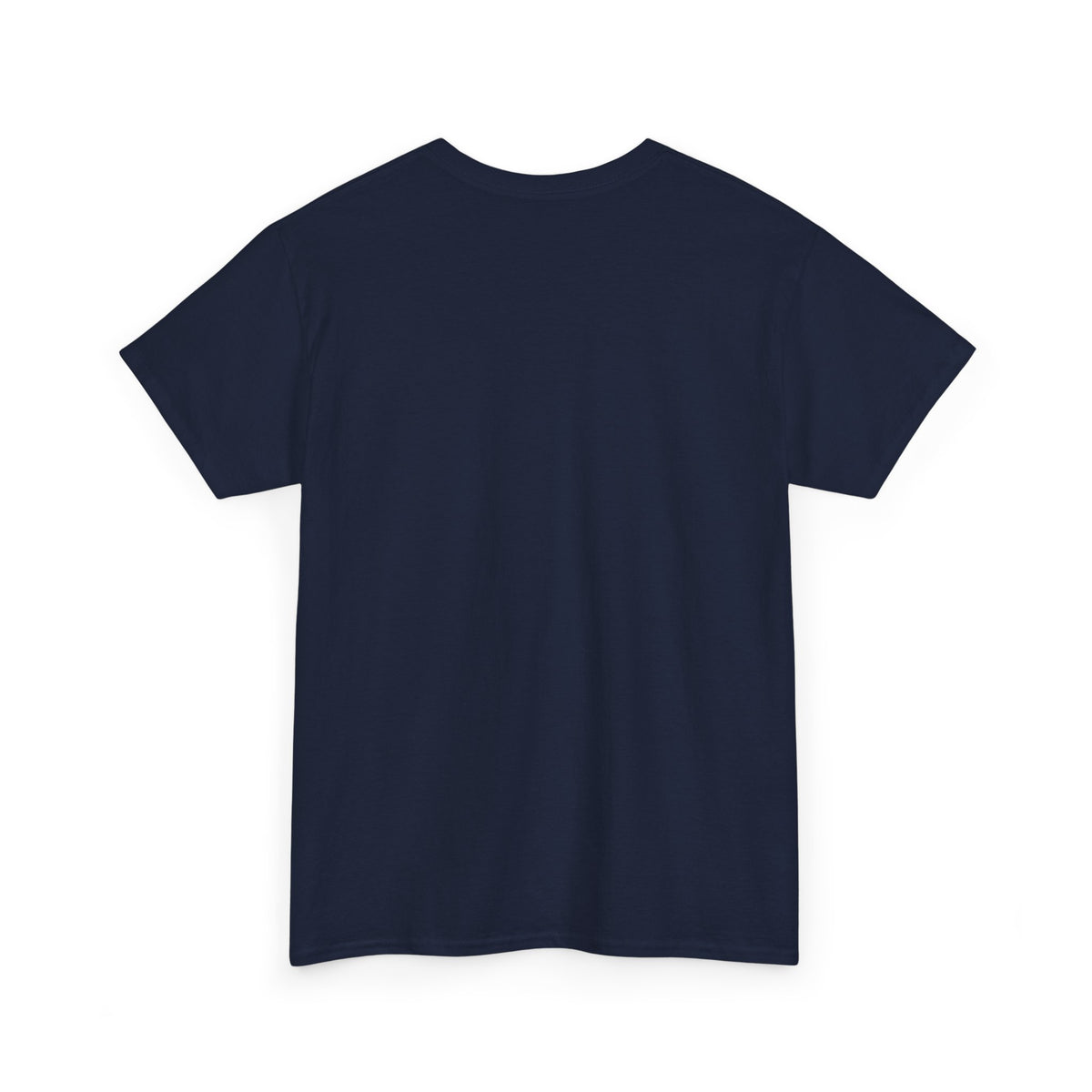 Lake Ontario Tee — "Always Lake Ontario" Vintage Flag Graphic