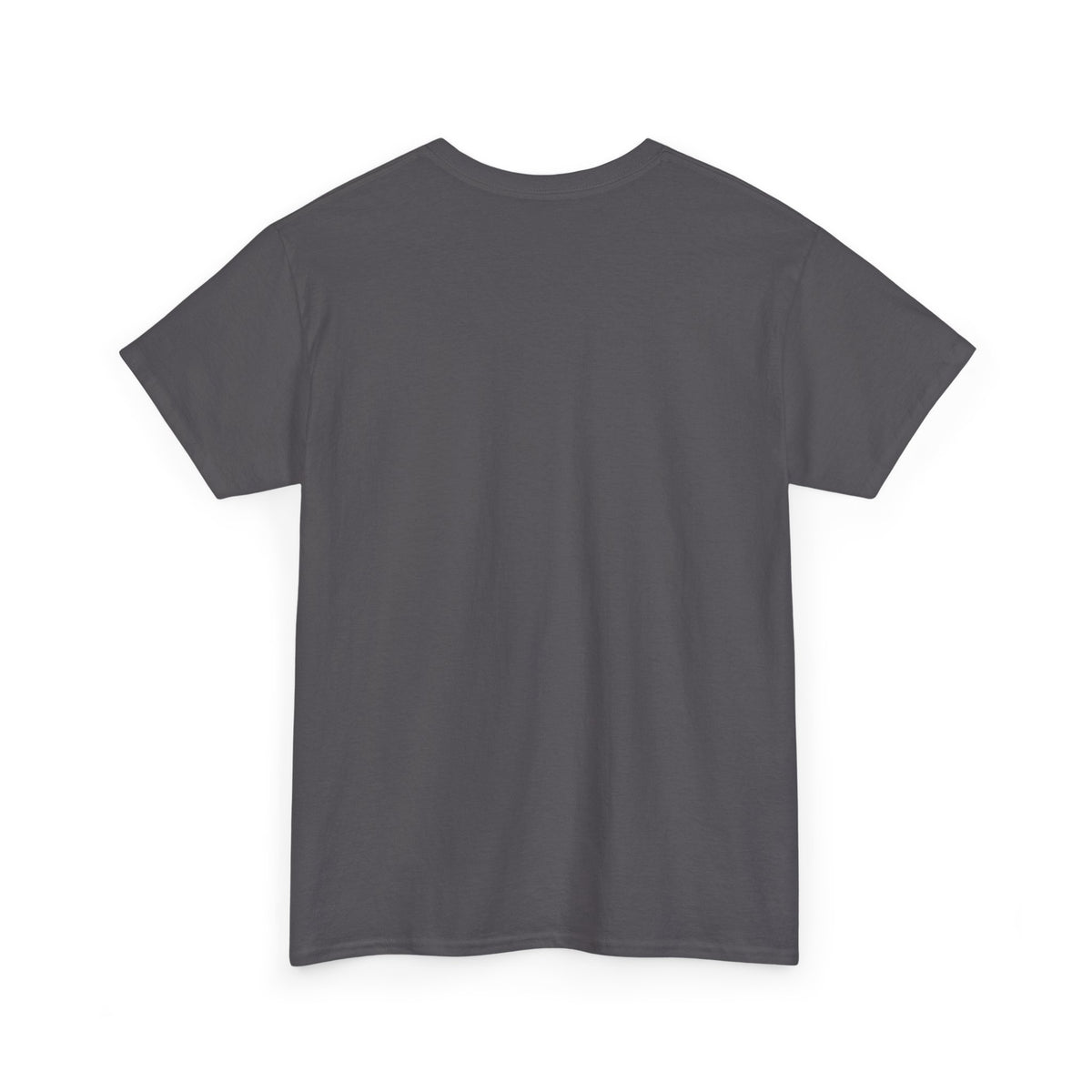 Lake Ontario Tee — "Always Lake Ontario" Vintage Flag Graphic