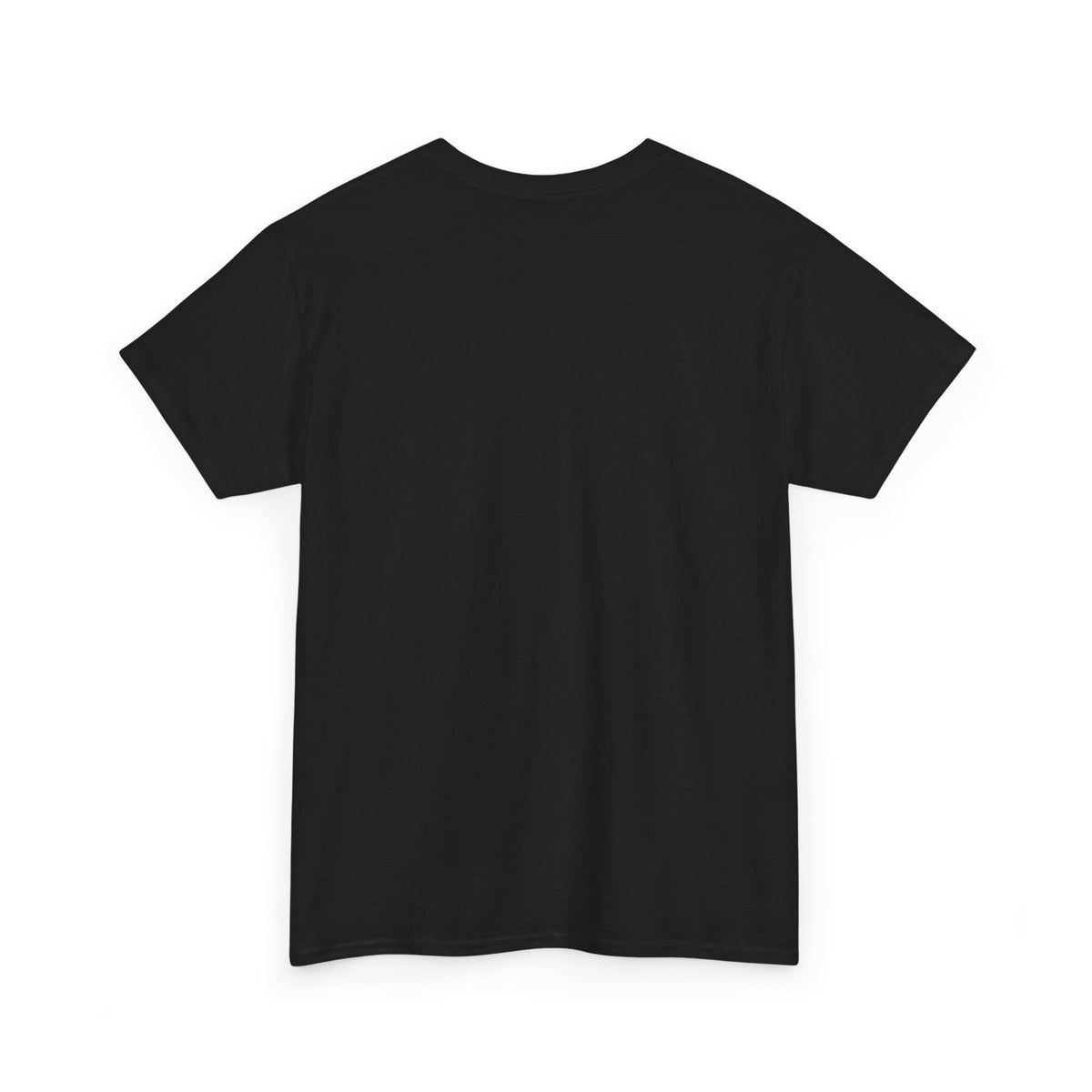 Lake Ontario Tee — "Always Lake Ontario" Vintage Flag Graphic