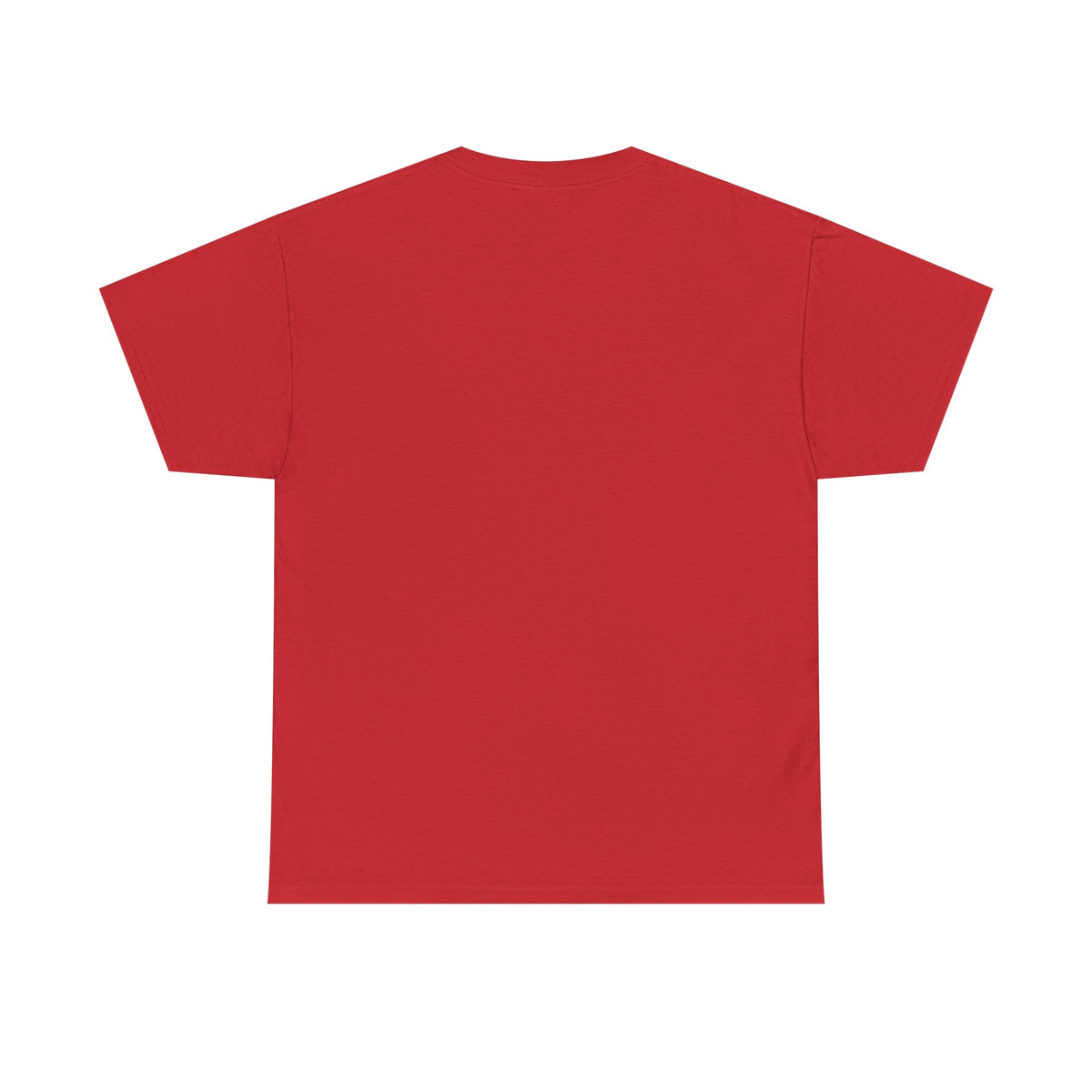 Lake Ontario Tee — "Always Lake Ontario" Vintage Flag Graphic