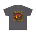 Phoenix Unplugged Tee — Desert Sunset Guitar Band Shirt