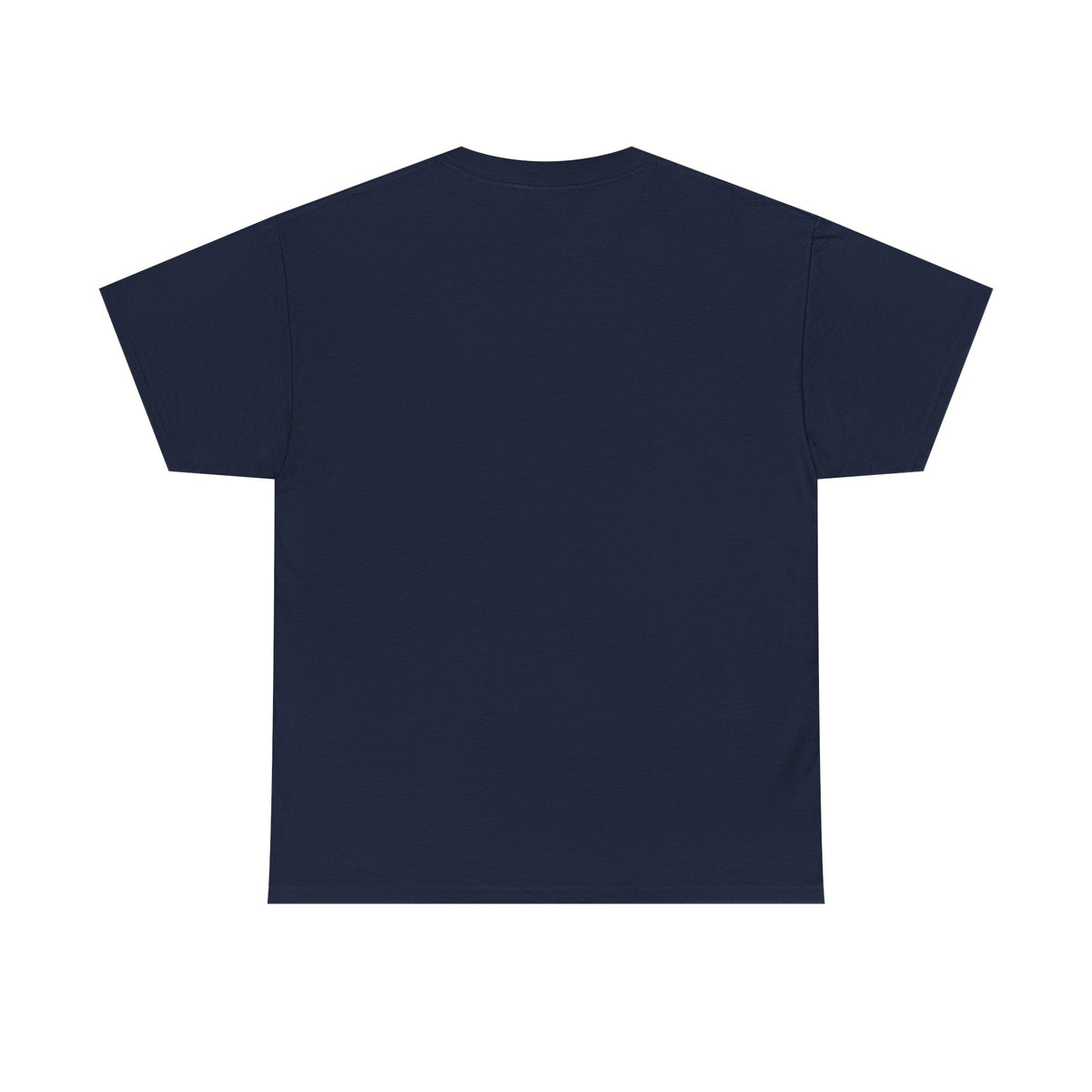 Lake Ontario Tee — "Always Lake Ontario" Vintage Flag Graphic