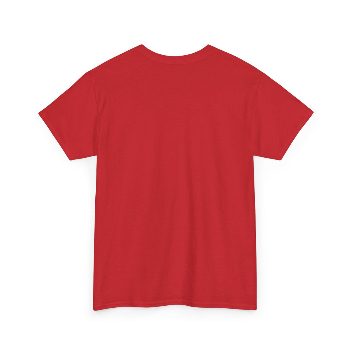 Lake Ontario Tee — "Always Lake Ontario" Vintage Flag Graphic