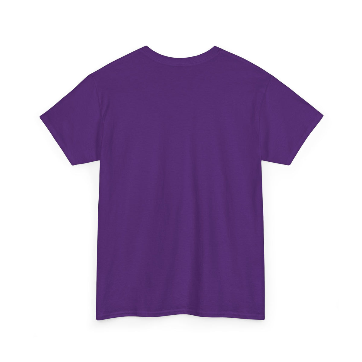 Lake Ontario Tee — "Always Lake Ontario" Vintage Flag Graphic