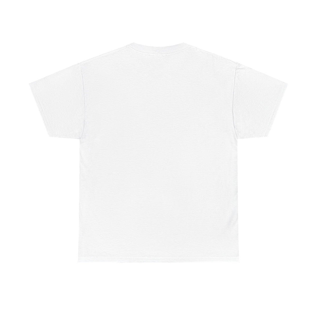 Lake Ontario Tee — "Always Lake Ontario" Vintage Flag Graphic